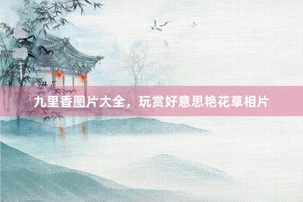 九里香图片大全，玩赏好意思艳花草相片