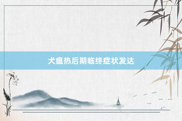 犬瘟热后期临终症状发达