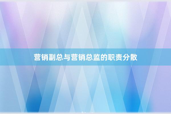 营销副总与营销总监的职责分散